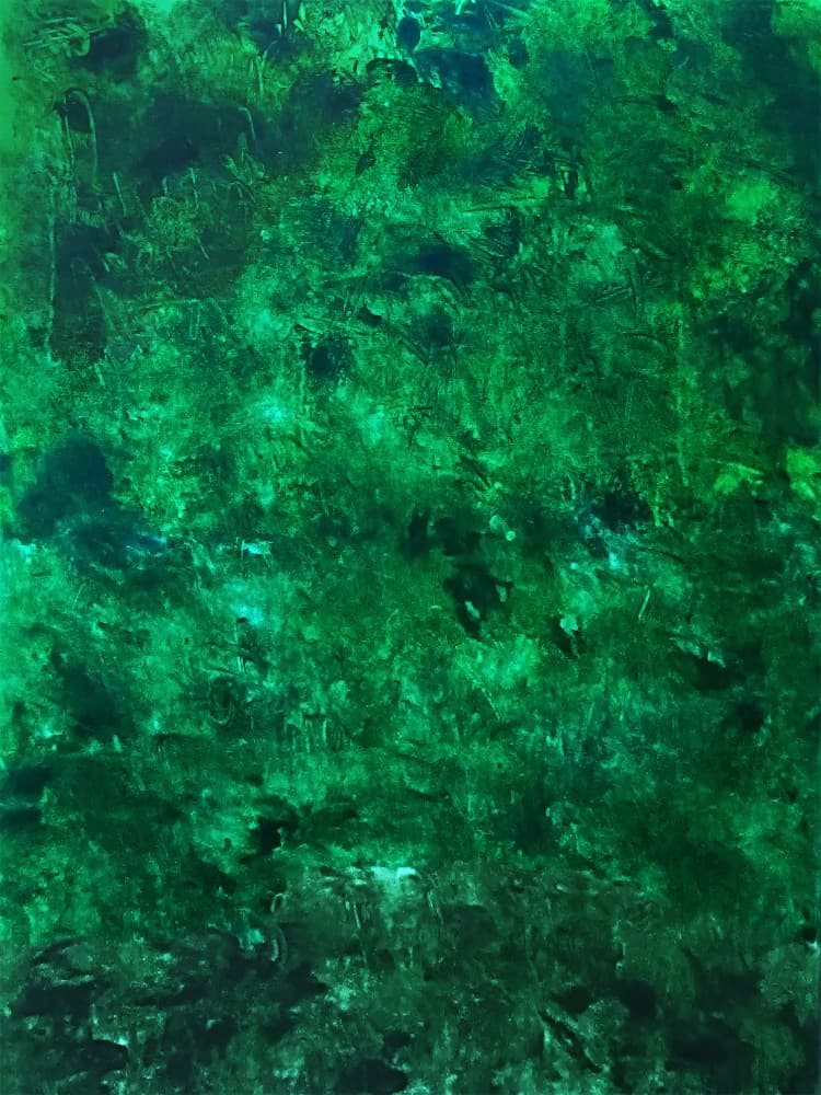 Lush Green Texture by Ron Halfant — canvas wall art
