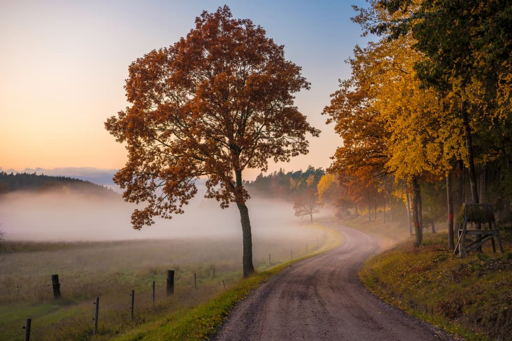 Peaceful Autumn Morning by Christian Lindsten — canvas wall art