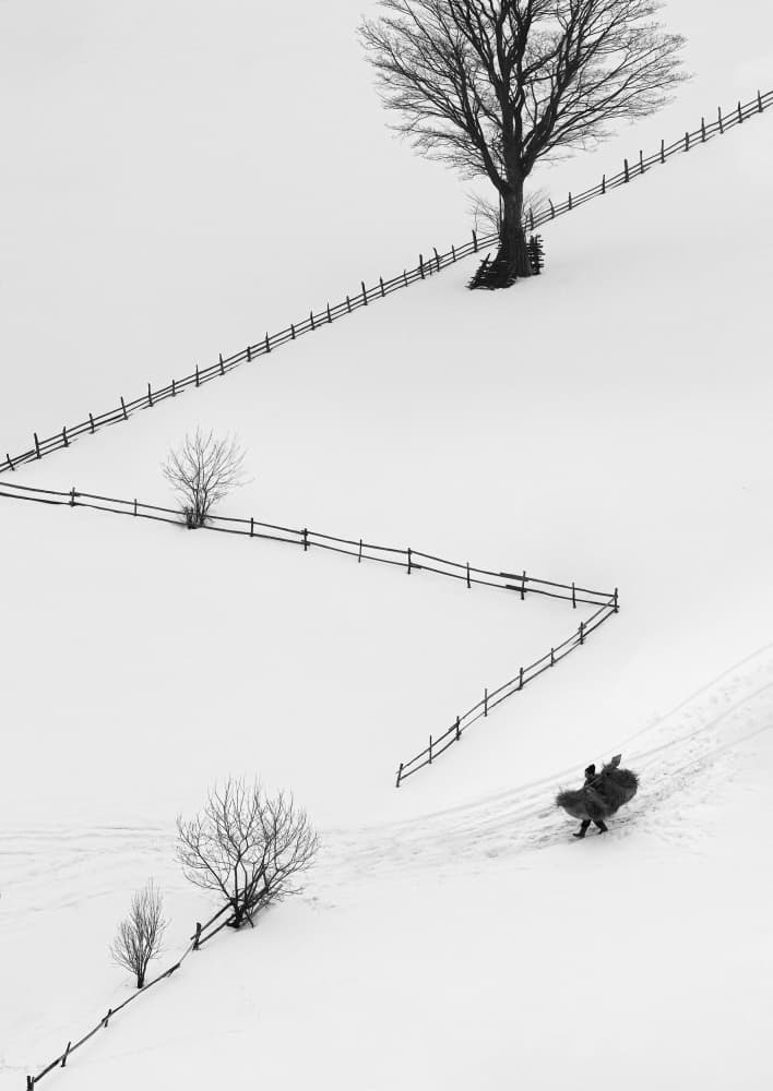 Solitary Winter Path by Sebastian Prioteasa — canvas wall art