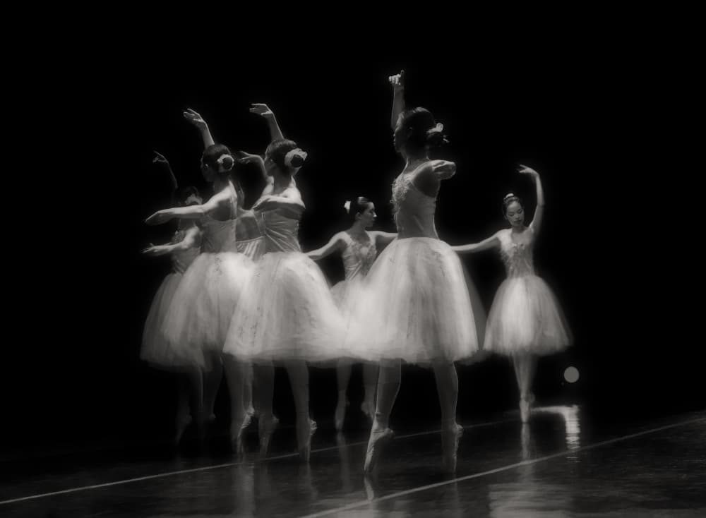 Graceful Ballet Motion by Mia Meng — canvas wall art