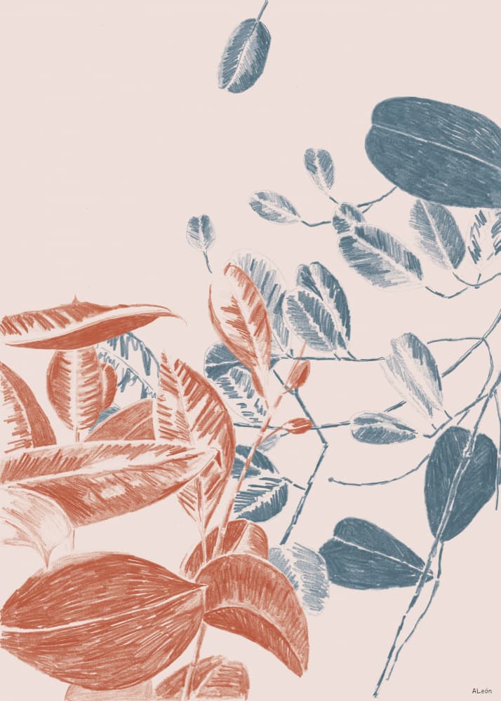 Modern Botanical Sketch by Amanda Leon — canvas wall art