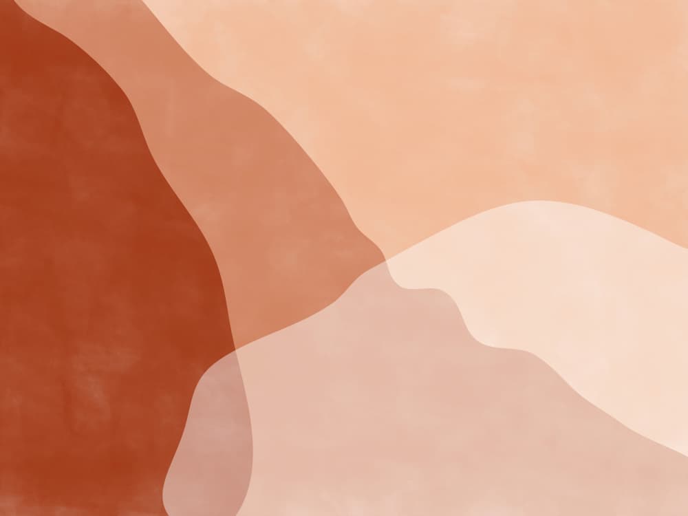 Blush Terracotta Flow by Elena Ristova — canvas wall art