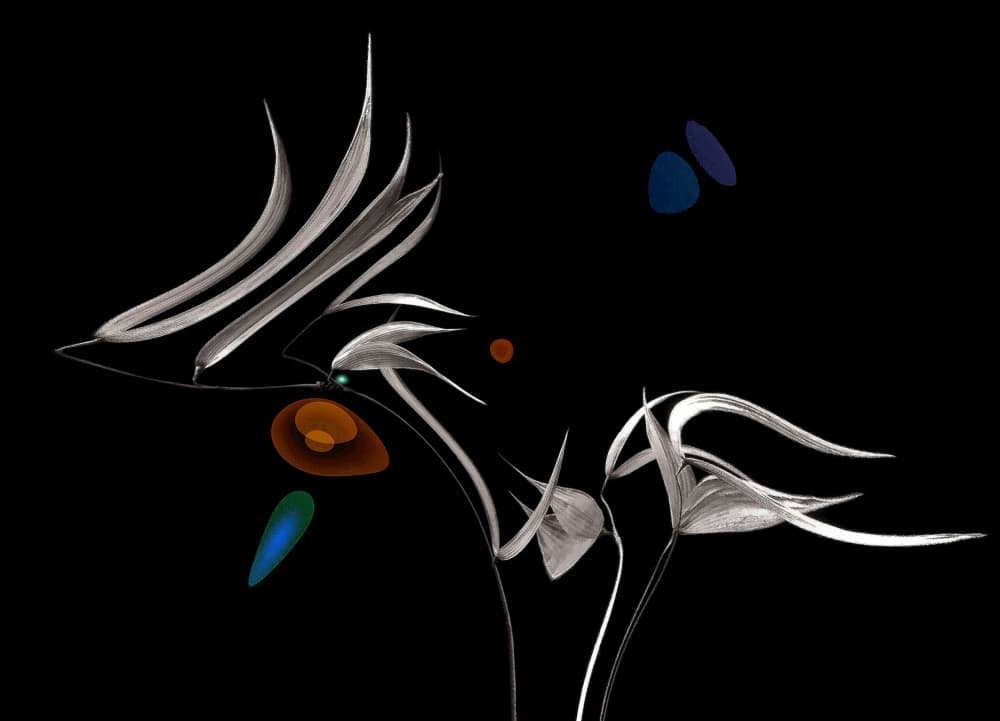 Ethereal Flowing Forms by Thierry Dufour — canvas wall art