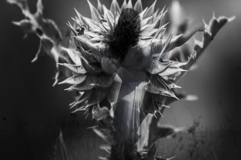 Thistle Spirit Woman by Bogdan Bouşcă — canvas wall art