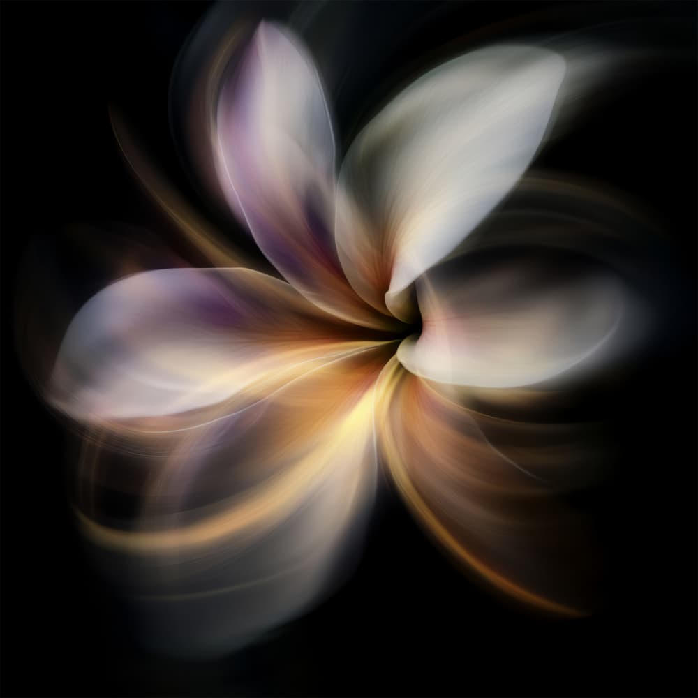 Ethereal Floral Glow by Bilge Paksoylu — canvas wall art