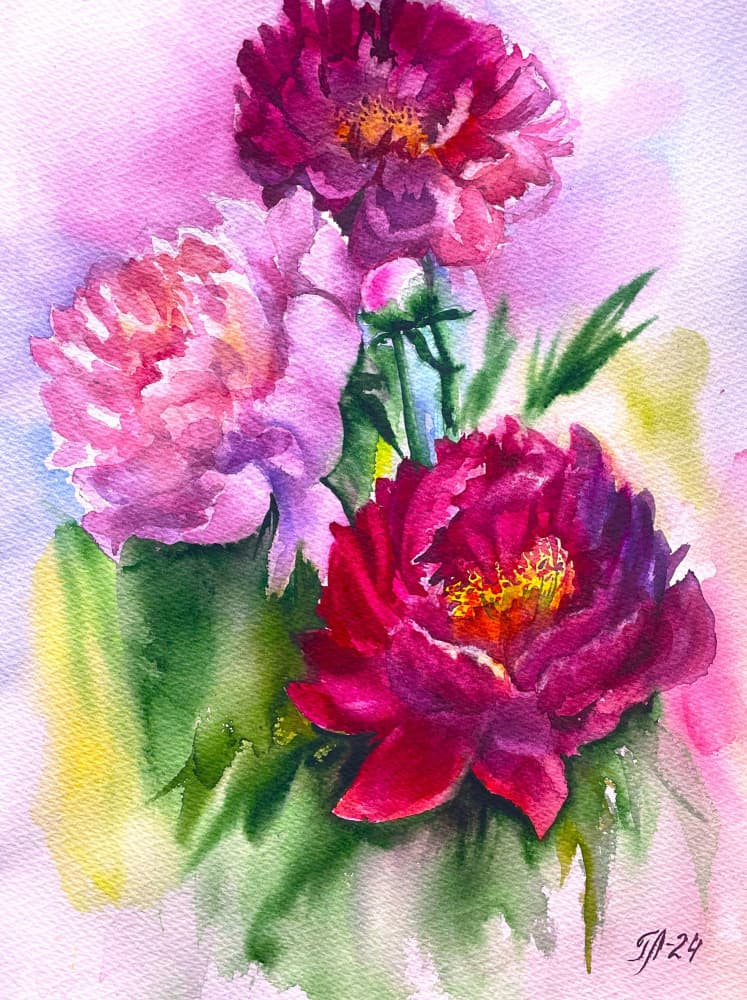 Vibrant Peony Blooms by Tanya Lundmark — canvas wall art
