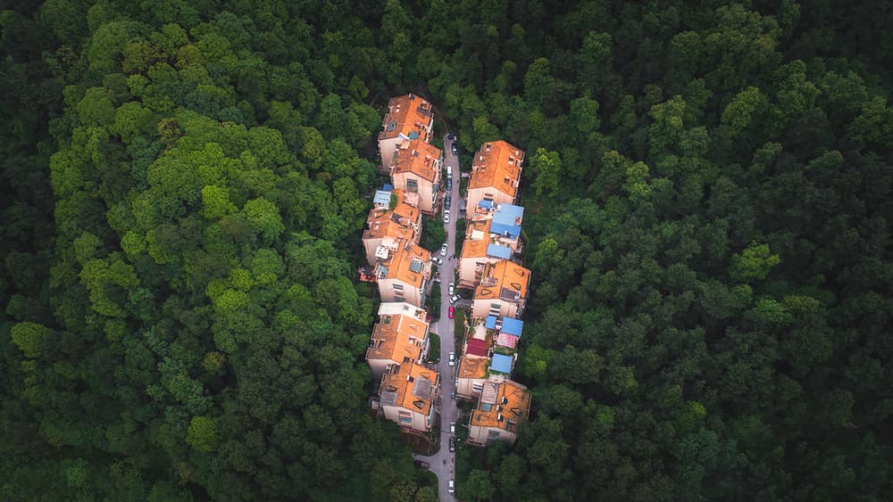 Forest Homes Aerial View by TIANQI — canvas wall art