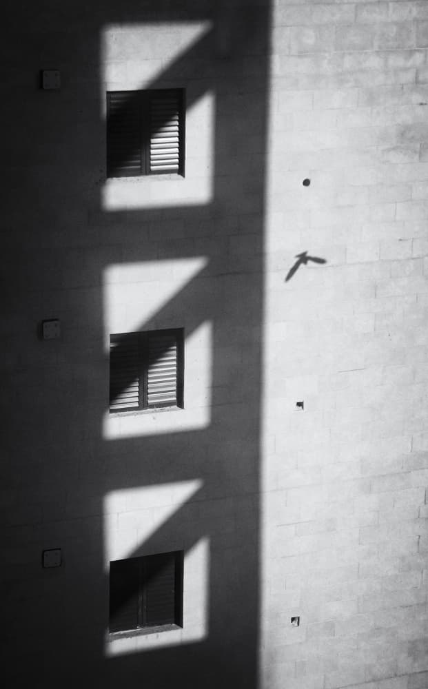 Geometric Shadows Bird by Yuri Shepelev — canvas wall art