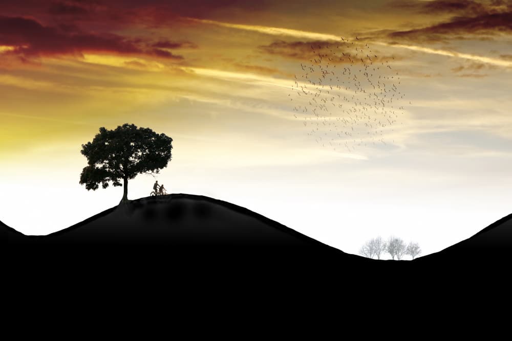 Hilltop Couple Sunset by Marchevca Bogdan — canvas wall art