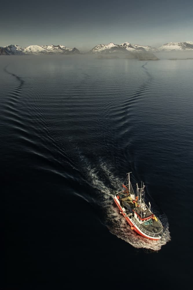 Fjord Fishing Boat by Dan Mirica — canvas wall art