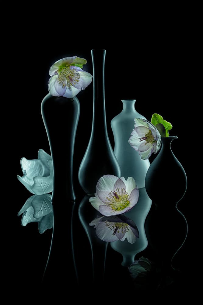 Elegant Floral Glow by Lydia Jacobs — canvas wall art