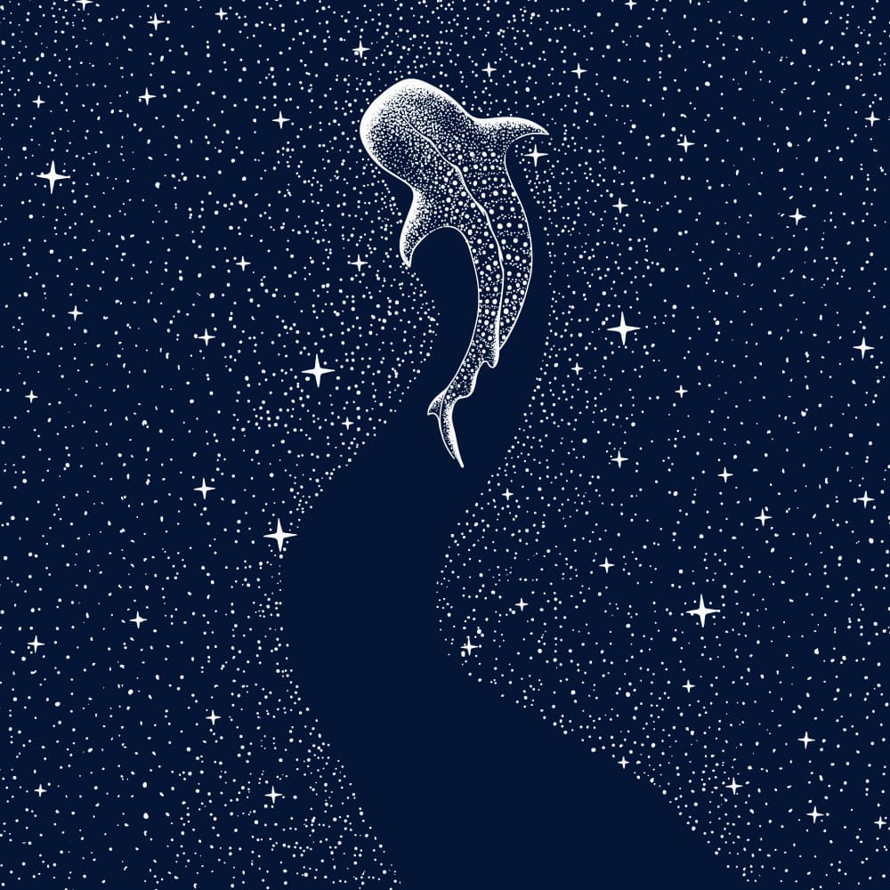 Starry Whale Shark by Alirıza ÇAKIR — canvas wall art