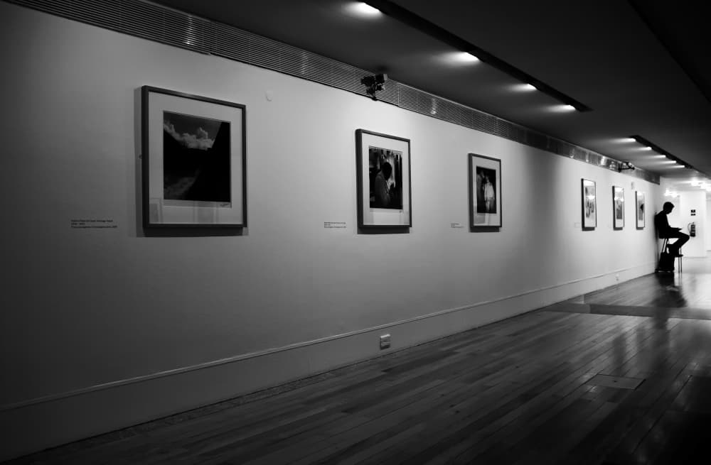 Solitary Art Viewer by Fernando Alves — canvas wall art