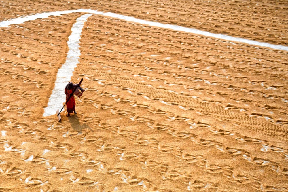 Golden Grain Patterns by Avishek Das — canvas wall art