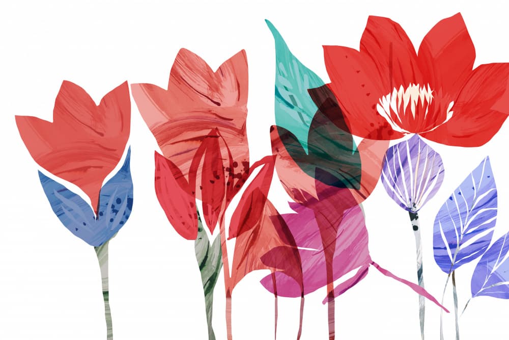Colorful Watercolor Blooms by cartissi — canvas wall art