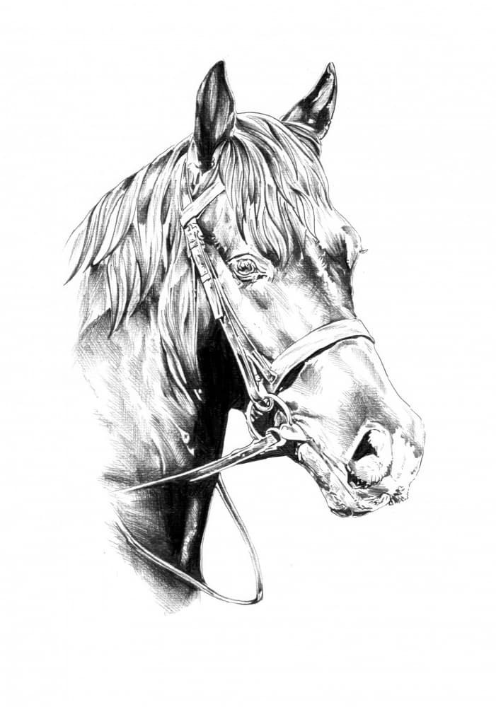 Majestic Horse Portrait by Kulik — canvas wall art
