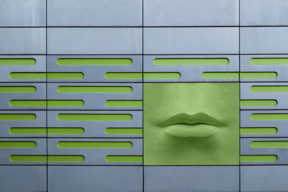 Abstract Green Lips Facade by Theo Luycx — canvas wall art