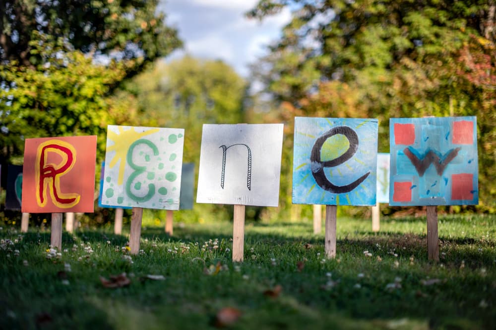 Renew Signs in Grass by Tim Mossholder — canvas wall art