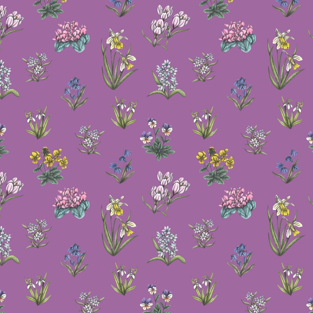 Gentle Spring Blooms by Cecilia Battaini — canvas wall art