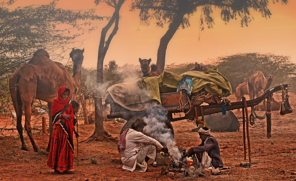 Desert Camp with Camels by Lou Urlings — canvas wall art