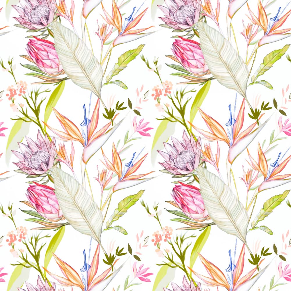Tropical Protea Blooms by Josie George — canvas wall art
