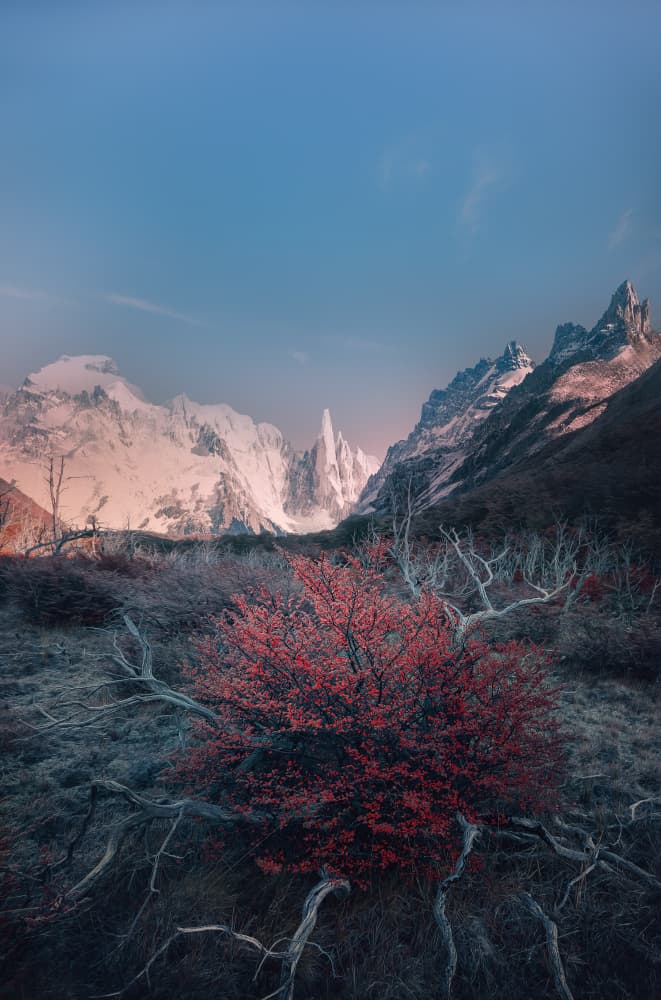 Vibrant Mountain Autumn by YANGYING — canvas wall art