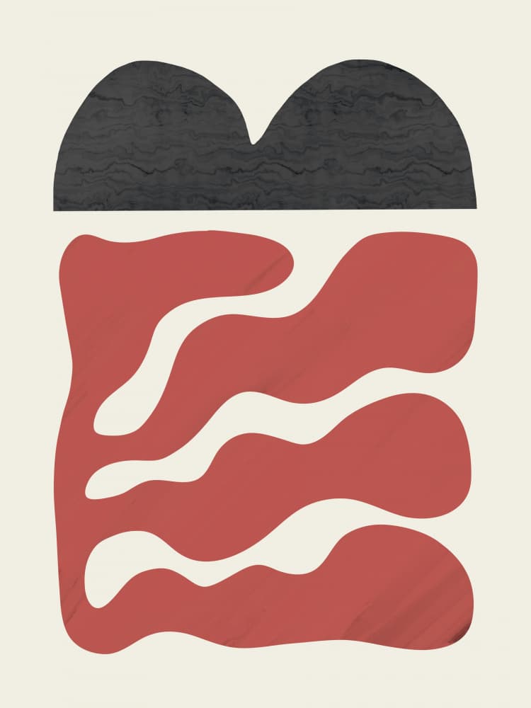 Organic Terracotta Shapes by Little Dean — canvas wall art