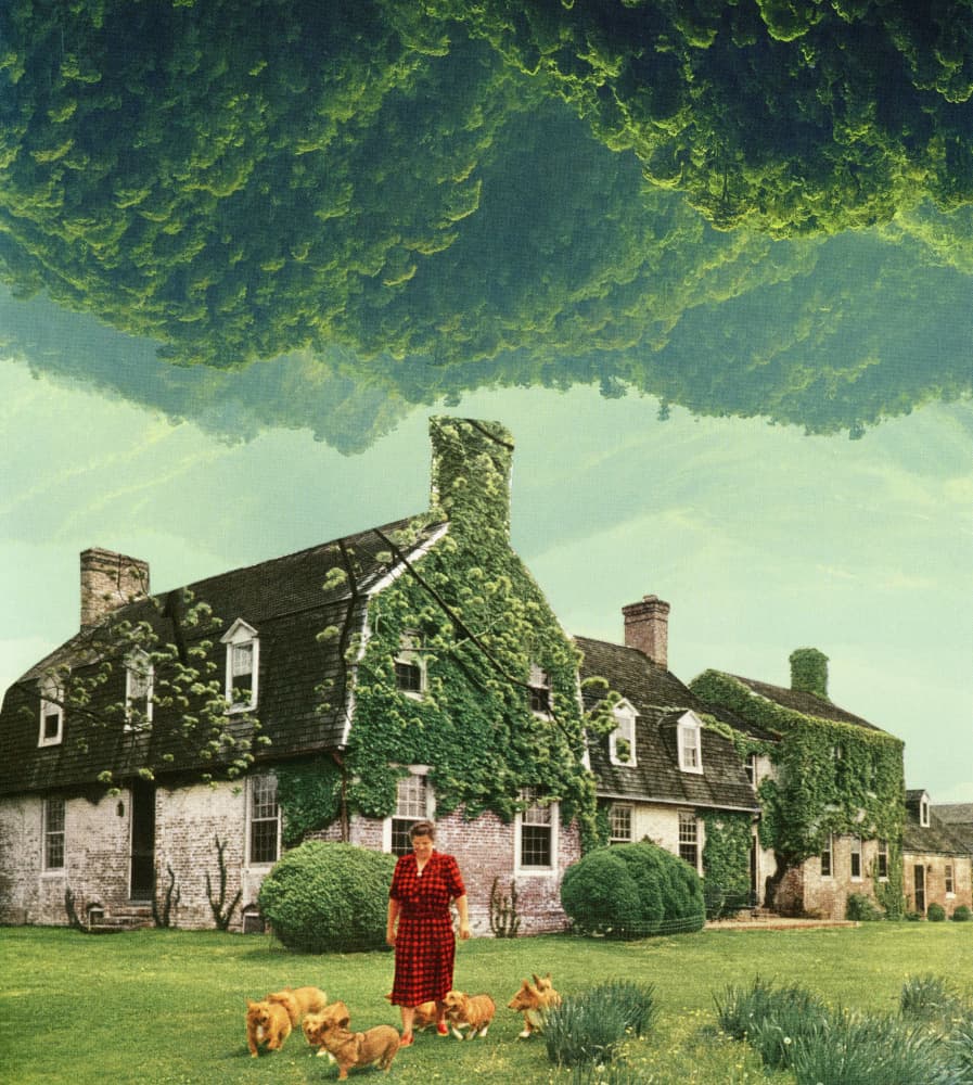 Upside Down Forest Home by Betty Klaasse — canvas wall art