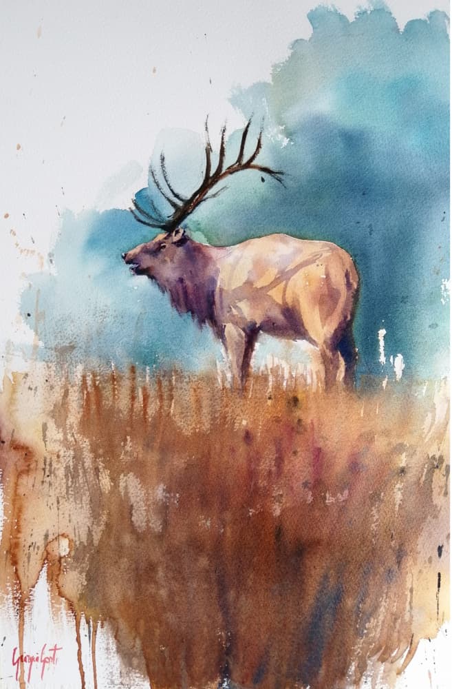 deer 7 by Giorgio Gosti — canvas wall art