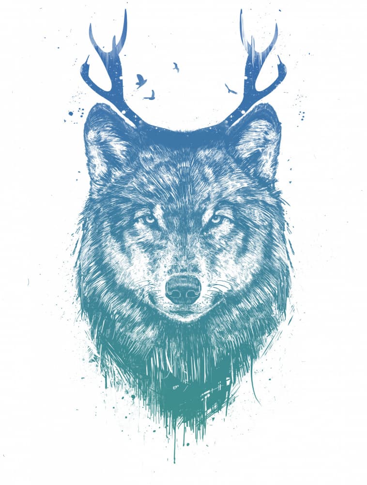 Blue Antlered Wolf by Balazs Solti — canvas wall art