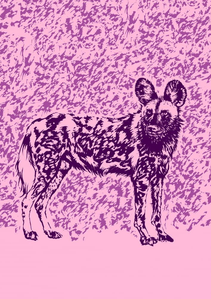 Purple Wild Dog Stance by Carlo Kaminski — canvas wall art