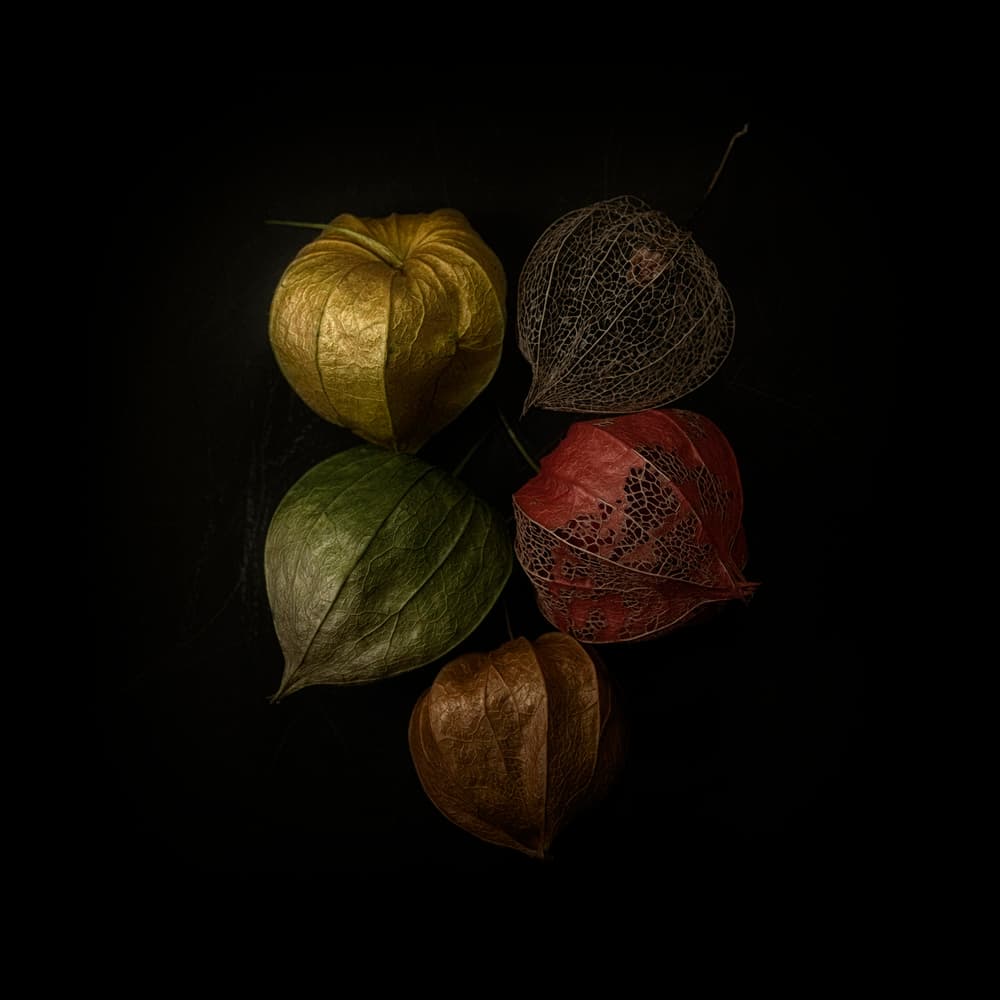 Elegant Autumn Lanterns by Lotte Grønkjær — canvas wall art