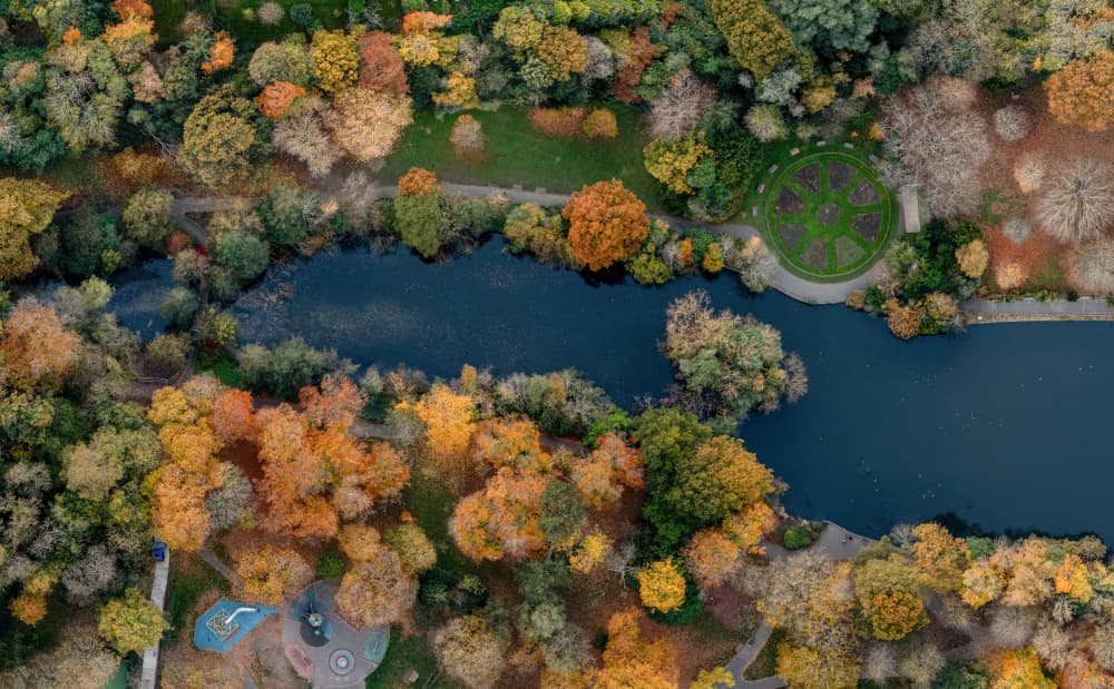 Autumn Park Aerial View by Radojica Jevric fotorax — canvas wall art