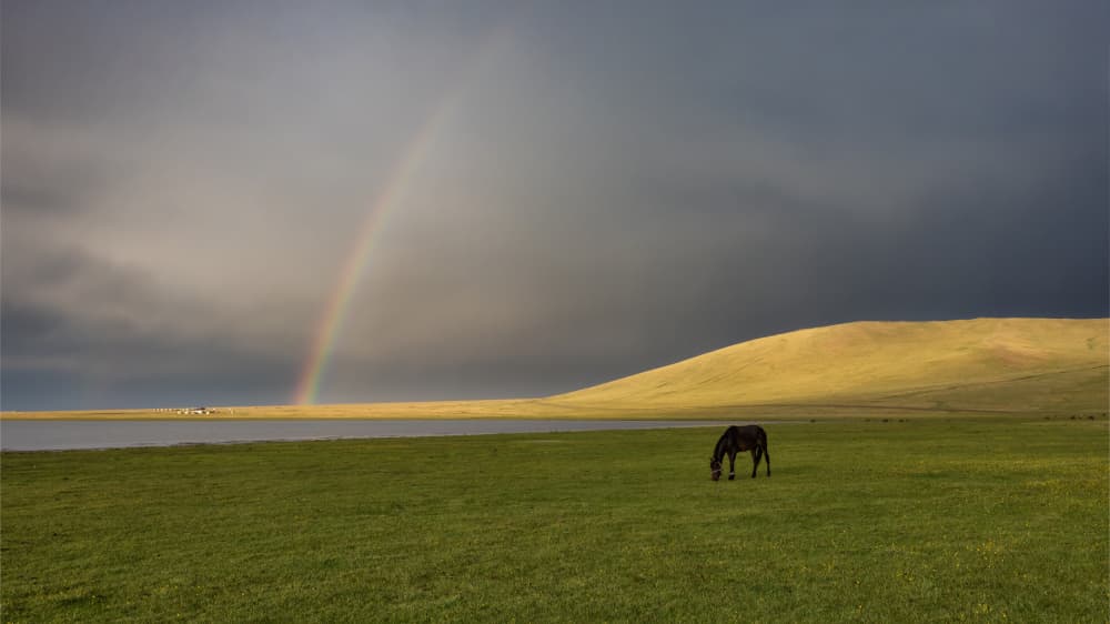 Horse and Rainbow Landscape by Azriel Yakubovitch — canvas wall art