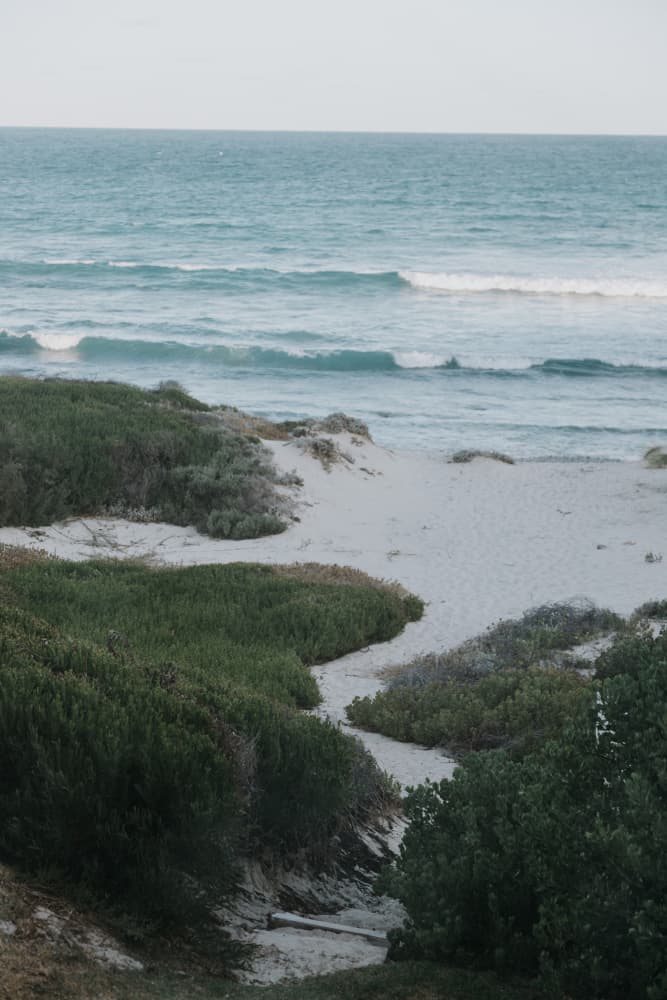 Serene Coastal Dunes by Megan Shone — canvas wall art