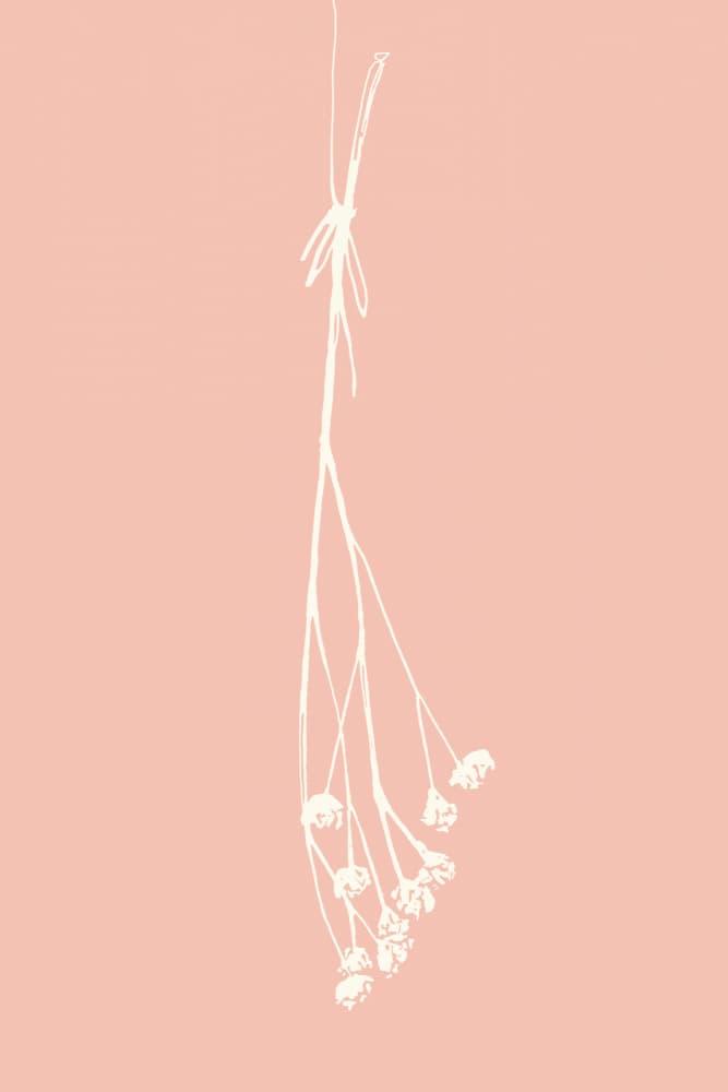 Delicate Pink Bloom by Rosana Laiz Blursbyai — canvas wall art