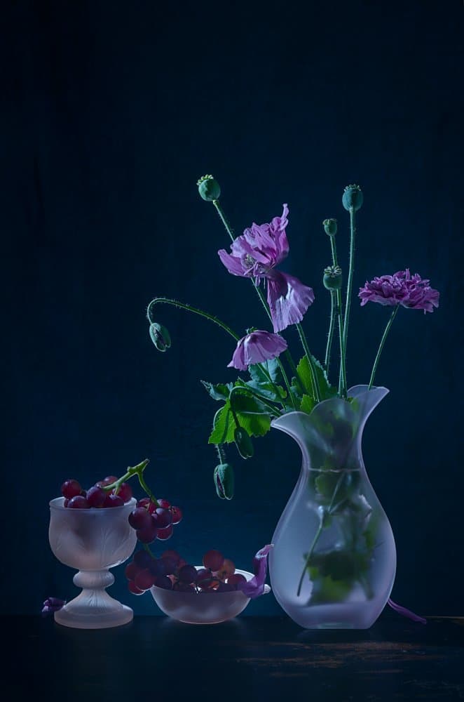 Moody Poppies And Fruit by Lydia Jacobs — canvas wall art