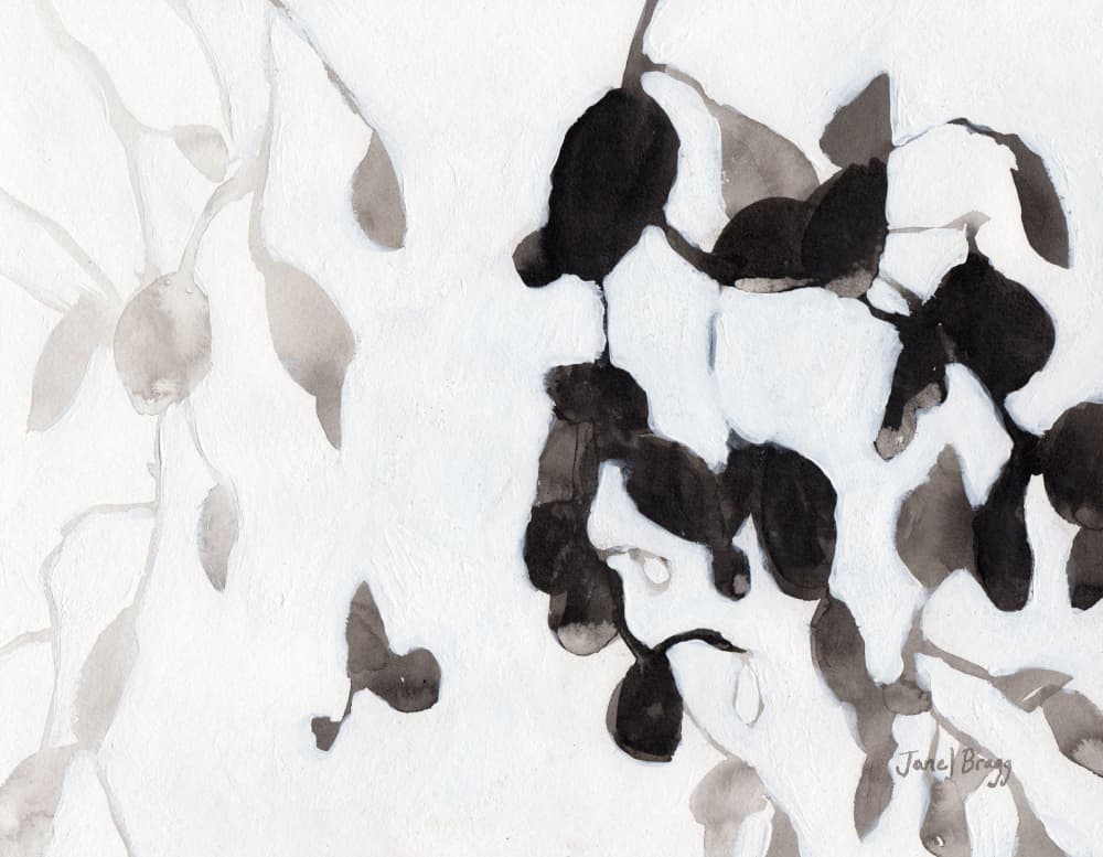 Ink Wash Leaves by Janel Bragg — canvas wall art