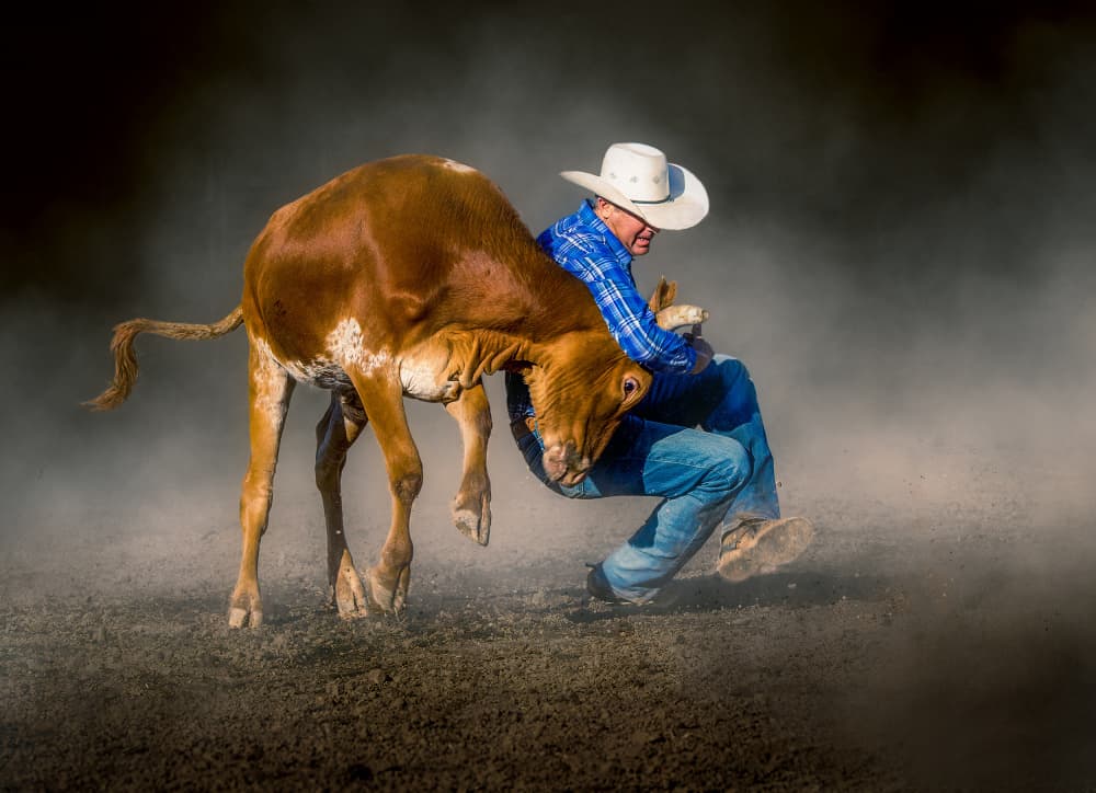 Rodeo Cowboy Action by Frank Ma — canvas wall art