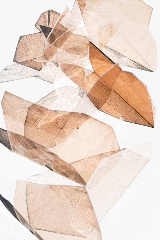 Translucent Earthy Shapes by Renée Stramel — canvas wall art