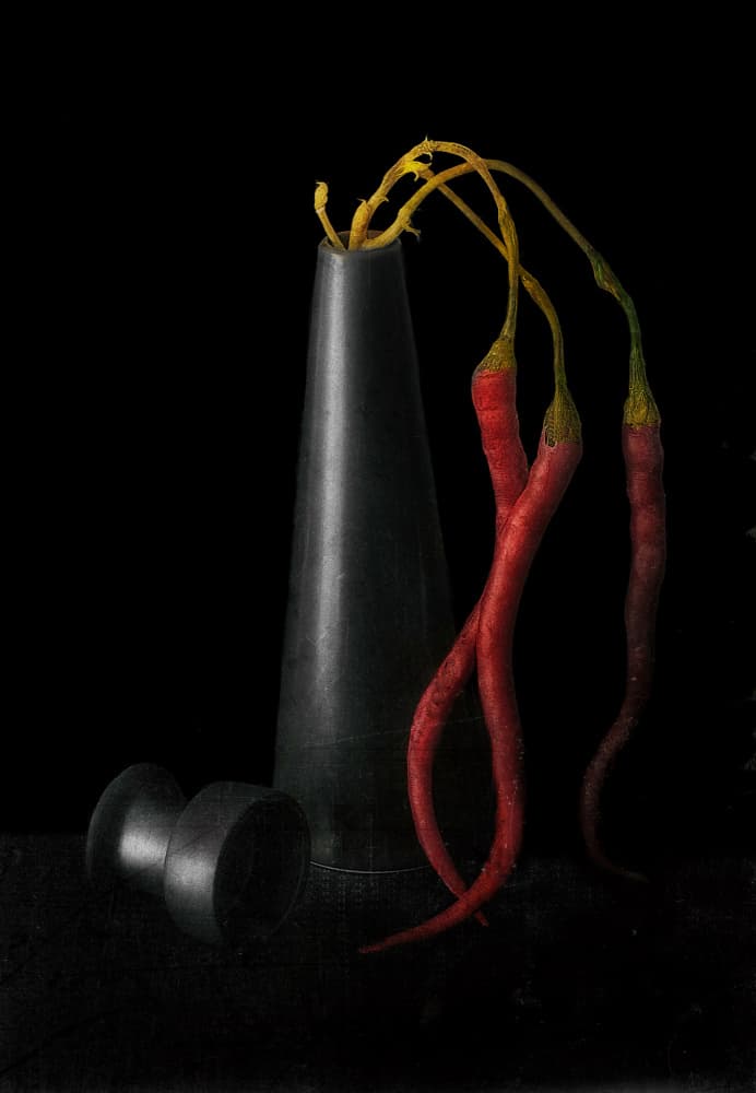 Dark Red Chilies by Elena Arjona — canvas wall art