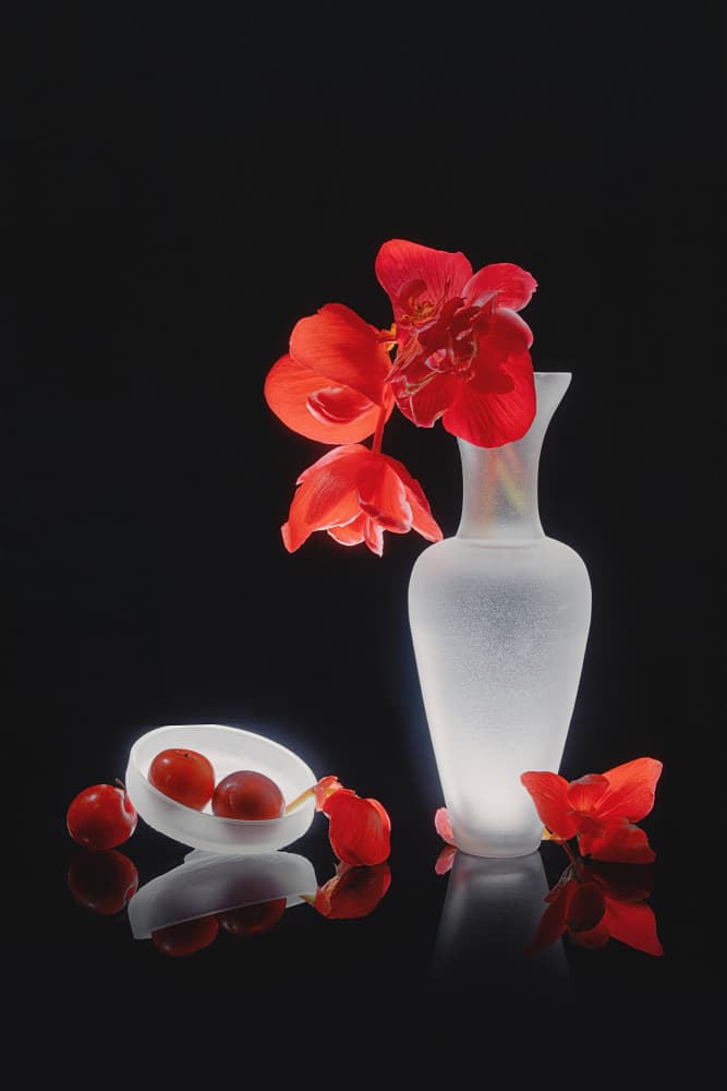 Elegant Red Still Life by Lydia Jacobs — canvas wall art
