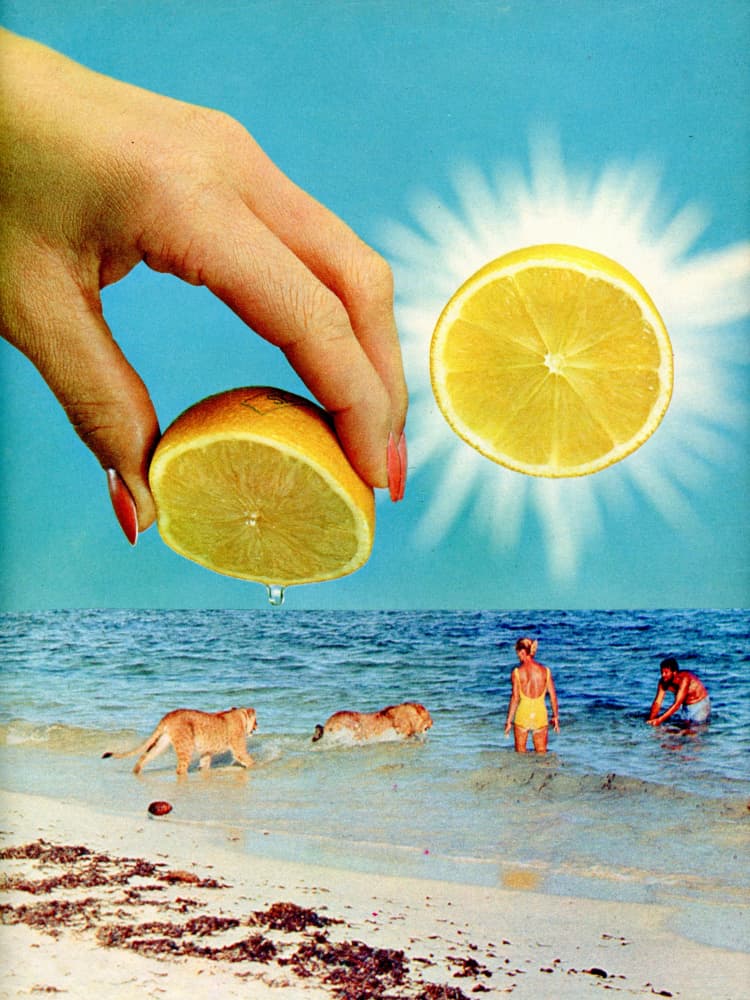 Lemon Sun Lions Beach by Betty Klaasse — canvas wall art