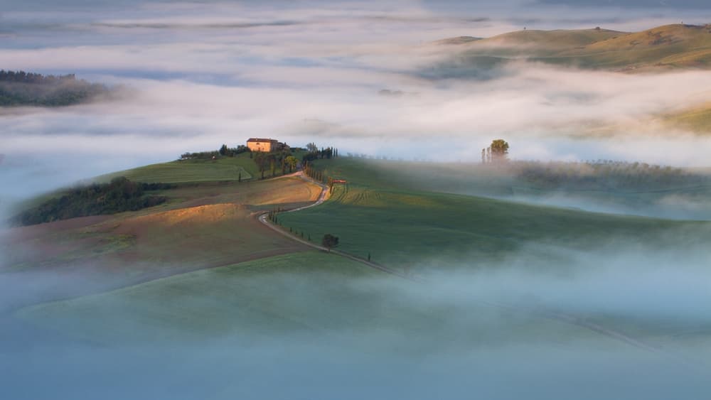 Misty Tuscan Hills by Peter Svoboda MQEP — canvas wall art
