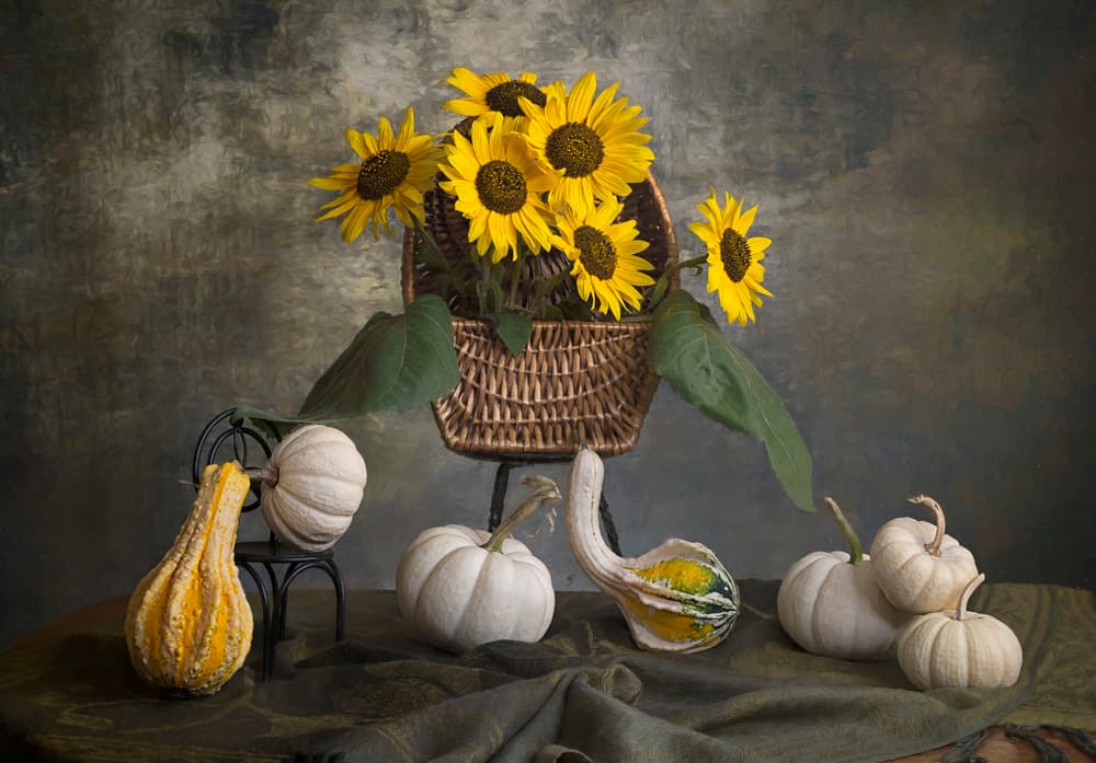 Autumn Sunflowers And Gourds by Lydia Jacobs — canvas wall art