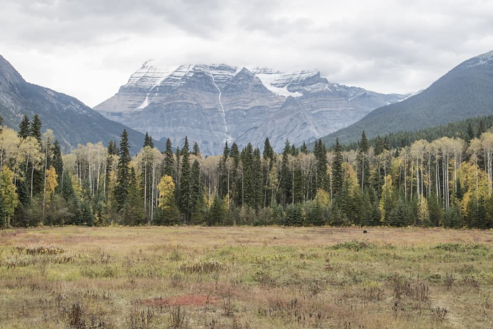 Autumn Mountain Valley by Lynann Colligan — canvas wall art