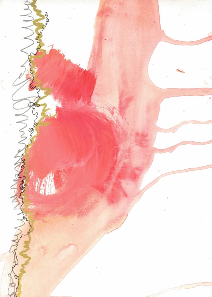 Pink Fluid Abstraction by Deb Chaney — canvas wall art
