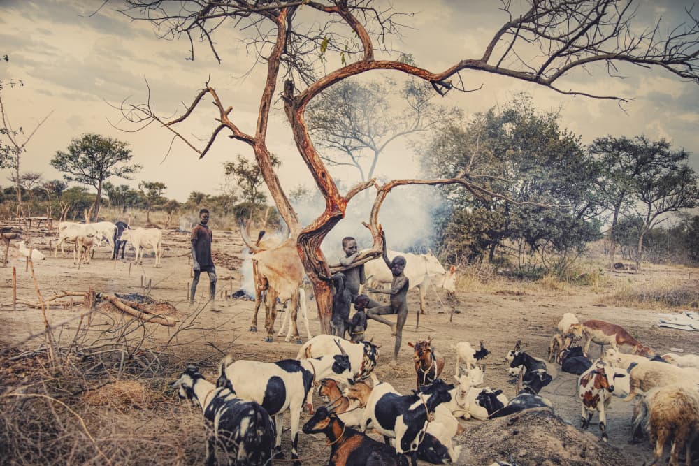 African Children Herding Livestock by Svetlin Yosifov — canvas wall art