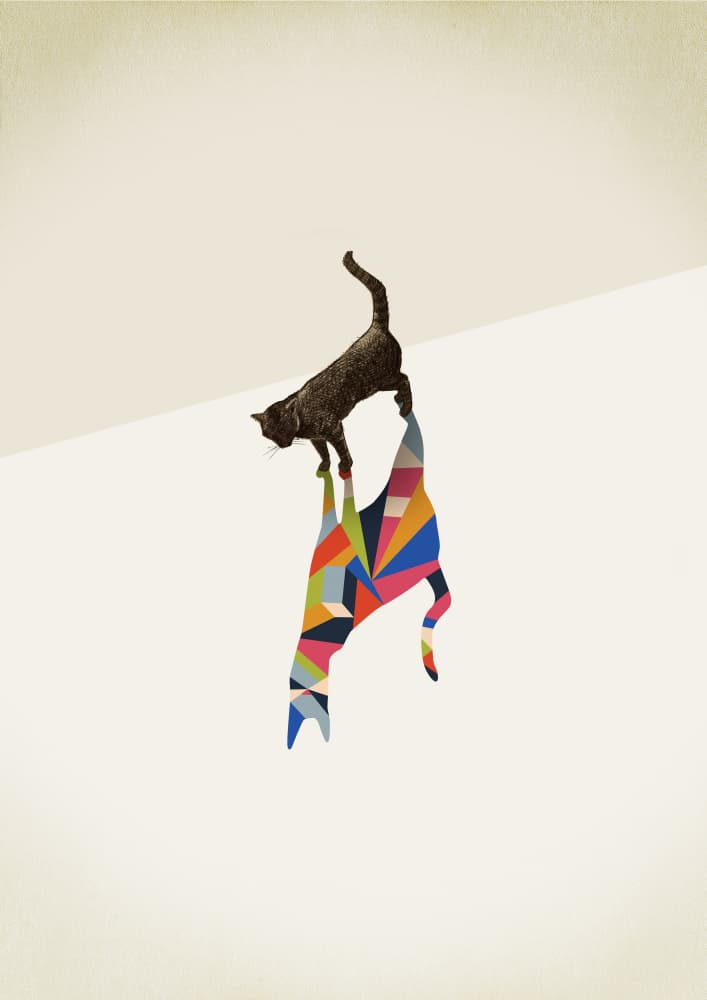 Geometric Cat Reflection by Jason Ratliff — canvas wall art