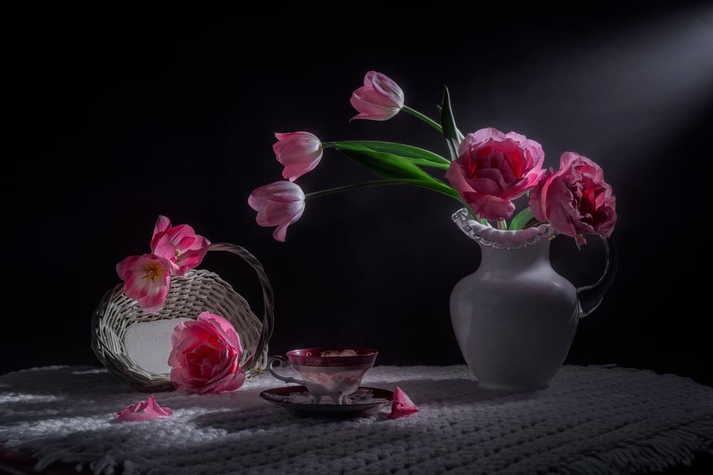 Moody Pink Tulips by Lydia Jacobs — canvas wall art